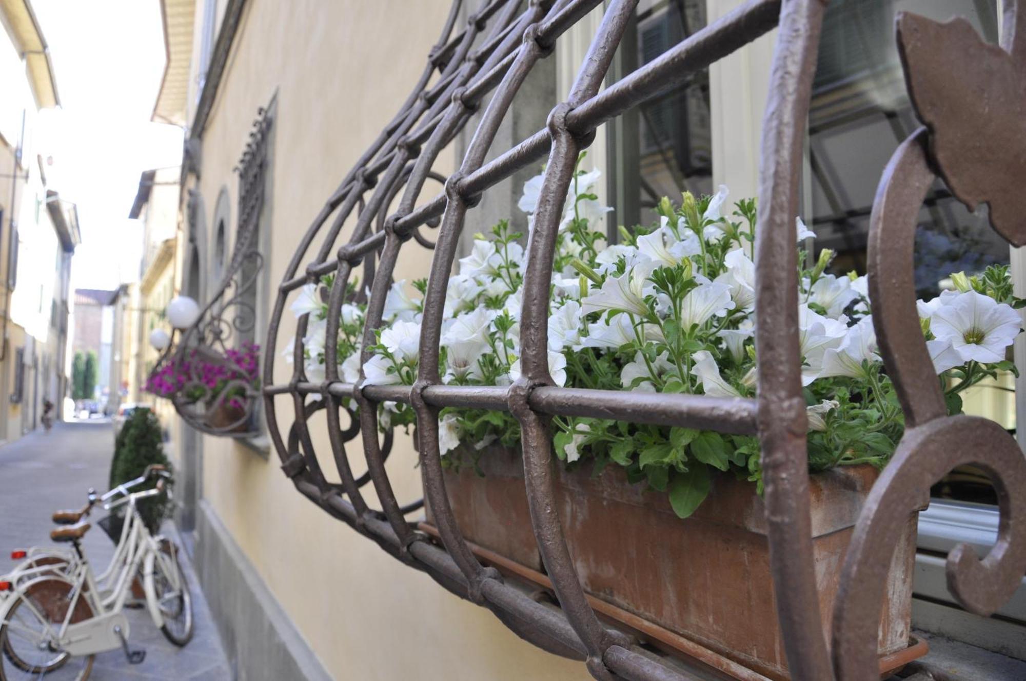 Patria Pistoia